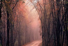 开云棋牌官网-皇马奥运梦碎：关键一战不敌曼城