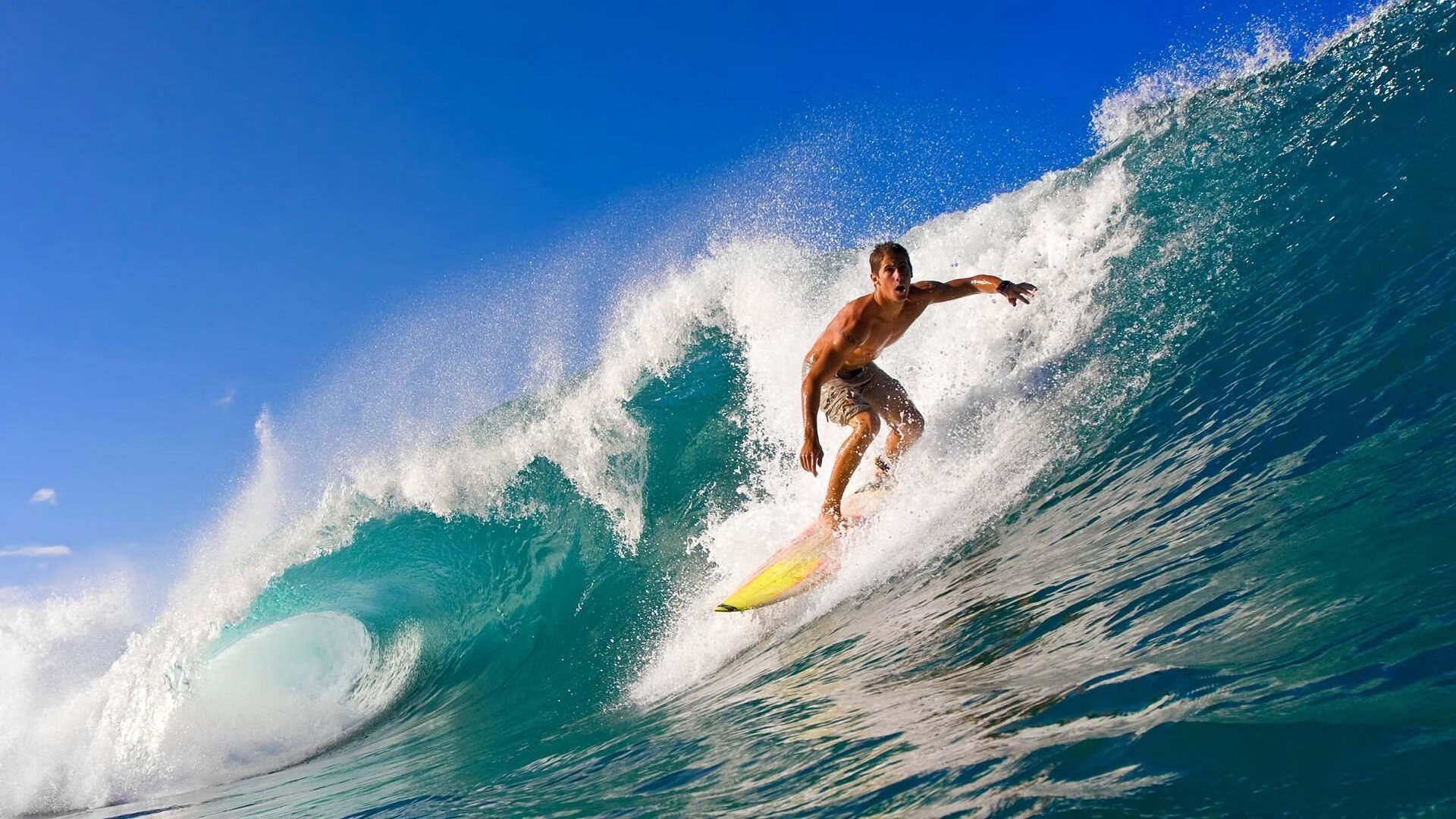 张本智和点燃赛场，奥地利队上演惊天逆转击败波兰队